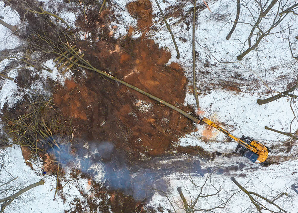 Excavator removing large tree during land clearing project in Pinckney Michigan